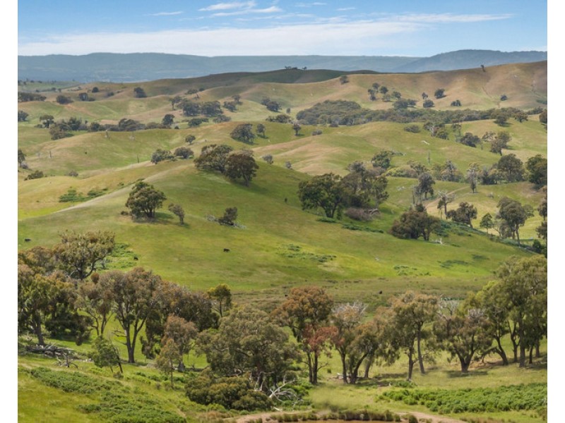 2625 Seymour-Tooborac Road, Tooborac VIC 3522