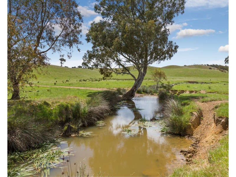 2625 Seymour-Tooborac Road, Tooborac VIC 3522