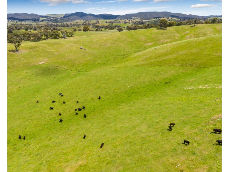 2625 Seymour-Tooborac Road, Tooborac VIC 3522