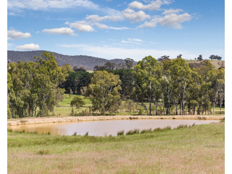 2625 Seymour-Tooborac Road, Tooborac VIC 3522