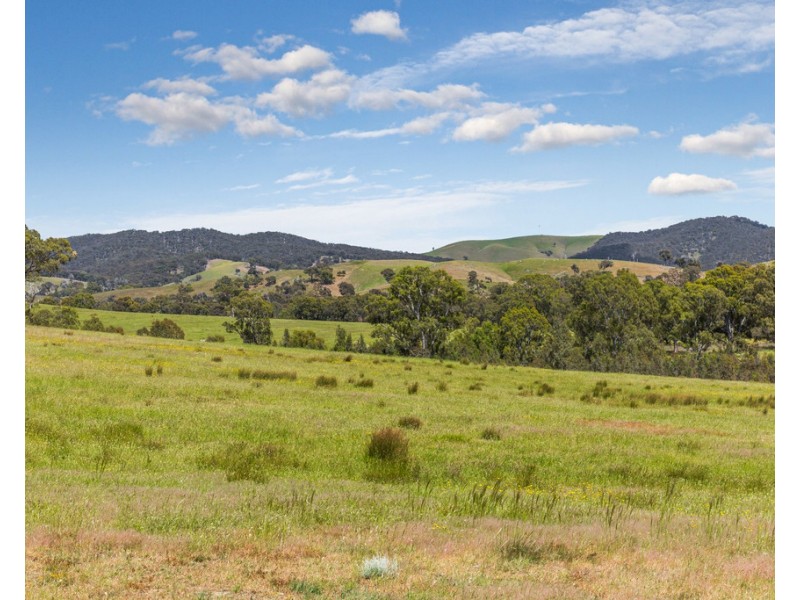 2625 Seymour-Tooborac Road, Tooborac VIC 3522