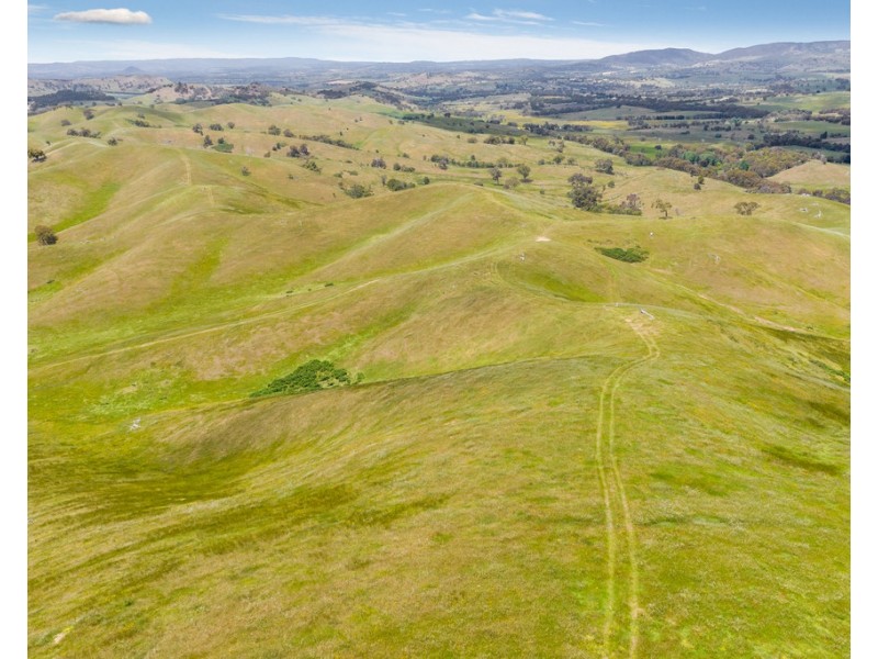 2625 Seymour-Tooborac Road, Tooborac VIC 3522