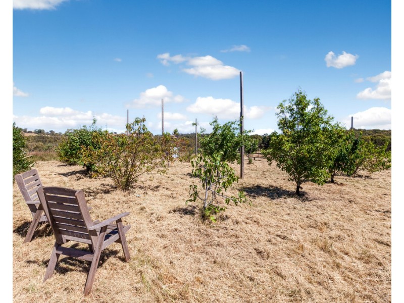 635 Seymour Pyalong Road, Hilldene VIC 3660