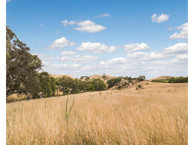 245 Konagaderra Road, Oaklands Junction VIC 3063