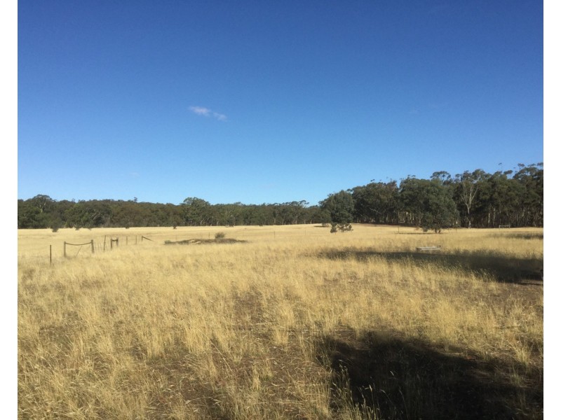 169 Ponderosa Road, Bealiba VIC 3475