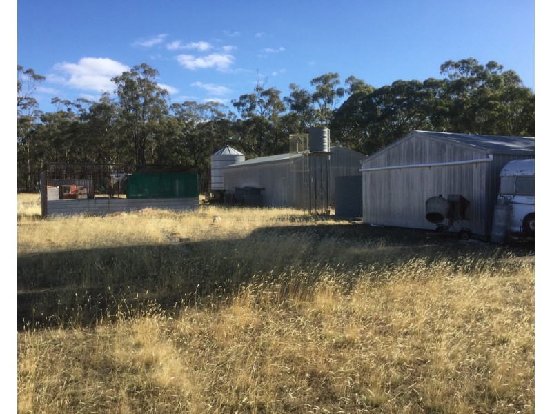 169 Ponderosa Road, Bealiba VIC 3475