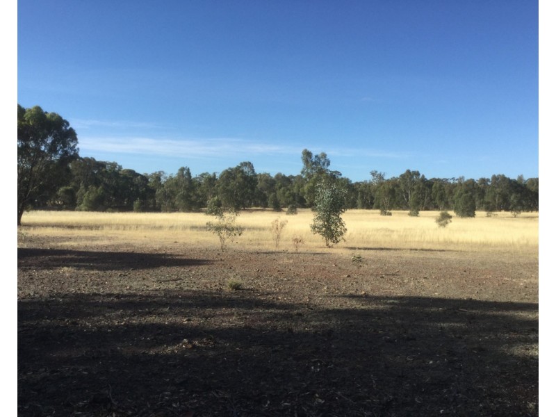 169 Ponderosa Road, Bealiba VIC 3475