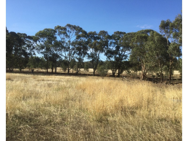 169 Ponderosa Road, Bealiba VIC 3475