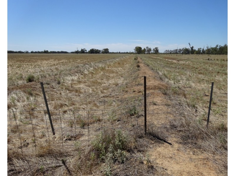 RMB 2275 Perricoota Road, Moama NSW 2731