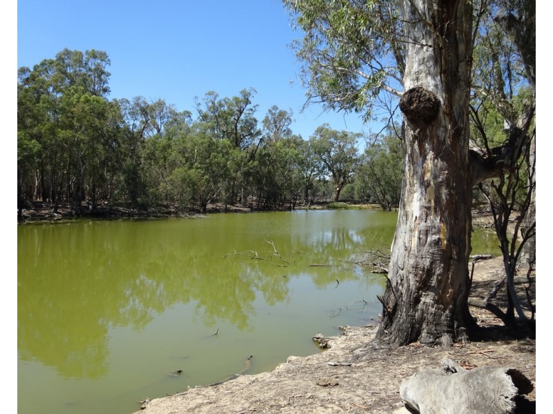 RMB 2275 Perricoota Road, Moama NSW 2731