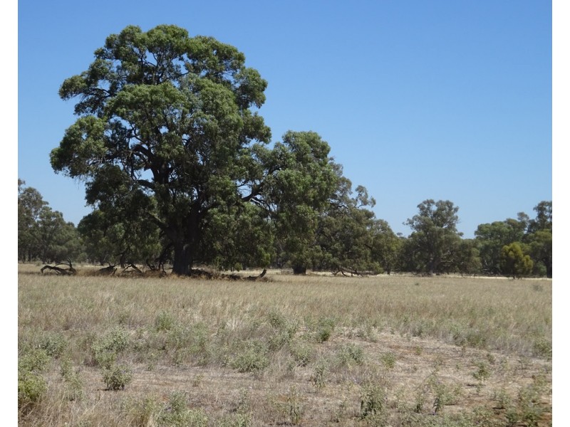 RMB 2275 Perricoota Road, Moama NSW 2731