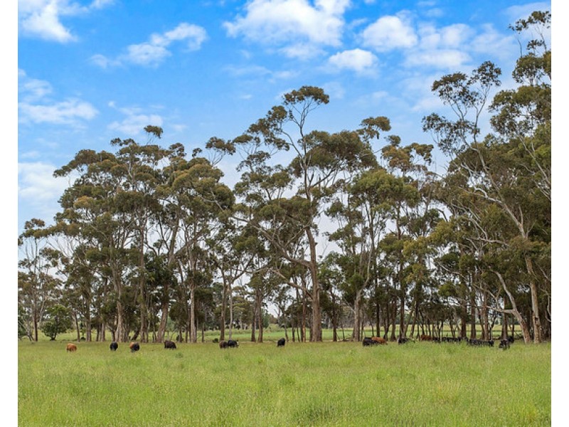 3551 PRINCES HIGHWAY, Weerite VIC 3260