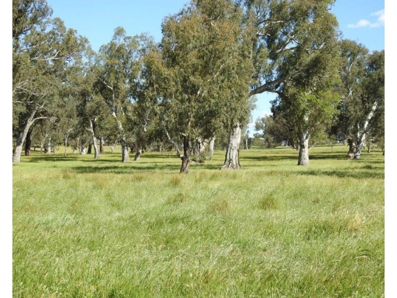 14 Ghin Ghin Road, Yea VIC 3717