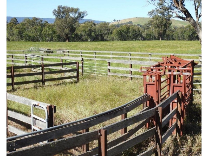 14 Ghin Ghin Road, Yea VIC 3717