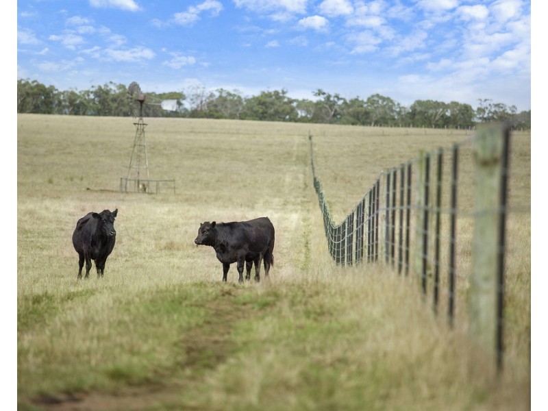 3896 HENTY HIGHWAY, Milltown VIC 3304