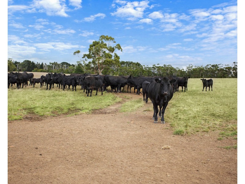 3896 HENTY HIGHWAY, Milltown VIC 3304