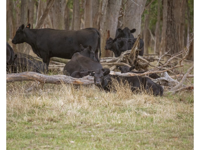 3896 HENTY HIGHWAY, Milltown VIC 3304