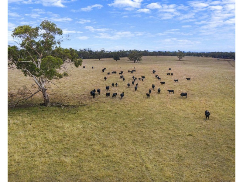 3896 HENTY HIGHWAY, Milltown VIC 3304