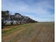 65 9 Mile Road, Moama NSW 2731