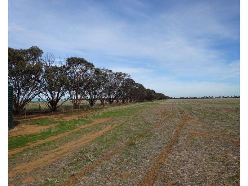 65 9 Mile Road, Moama NSW 2731