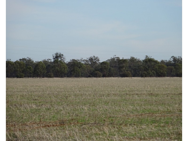 65 9 Mile Road, Moama NSW 2731