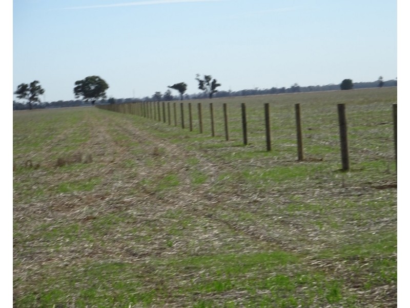 65 9 Mile Road, Moama NSW 2731