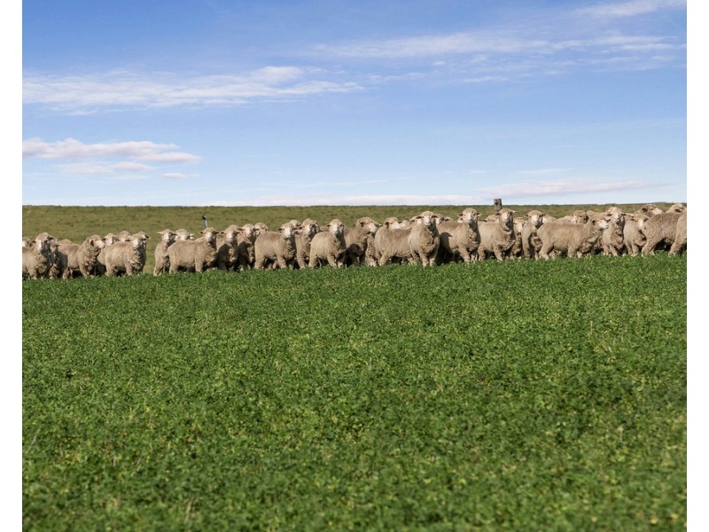 1154 Stockyard Hill Road, Stockyard Hill VIC 3373