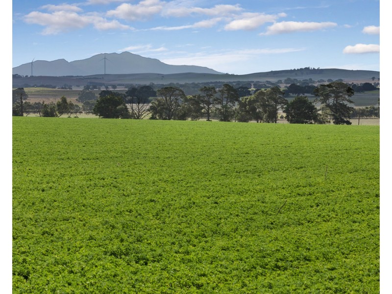 1154 Stockyard Hill Road, Stockyard Hill VIC 3373