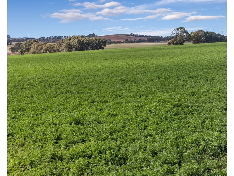 1154 Stockyard Hill Road, Stockyard Hill VIC 3373