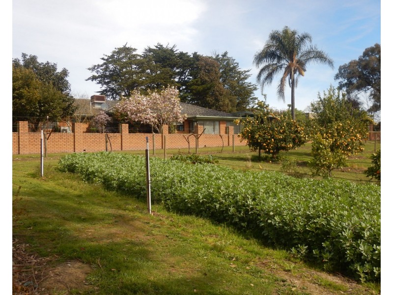 90 ELVIAN ROAD, Woori Yallock VIC 3139