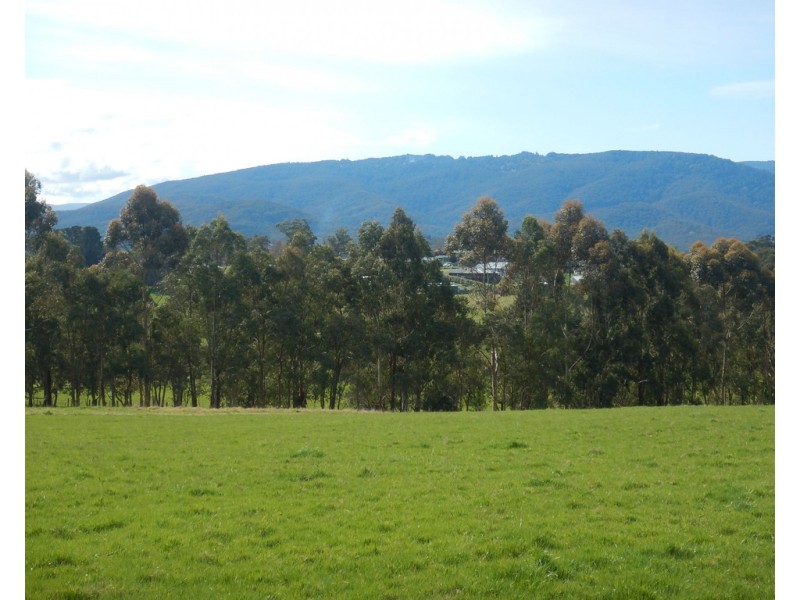 90 ELVIAN ROAD, Woori Yallock VIC 3139