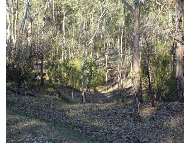 503 Old Deniliquin Road, Moama NSW 2731