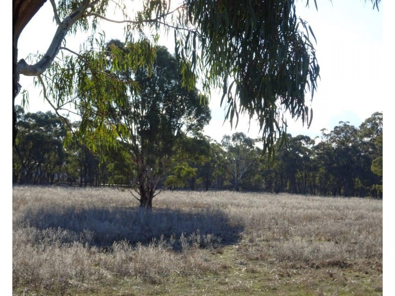 503 Old Deniliquin Road, Moama NSW 2731