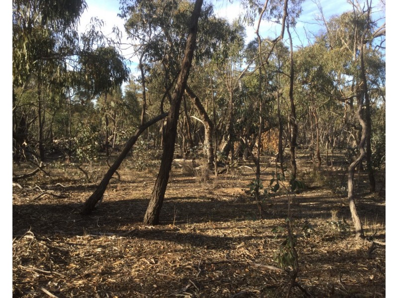 . STUART MILL LOW ROAD, Carapooee VIC 3477