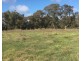 Seymour VIC 3660