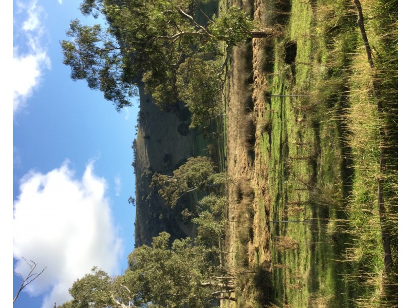 406 CHEVIOT ROAD, Limestone VIC 3717