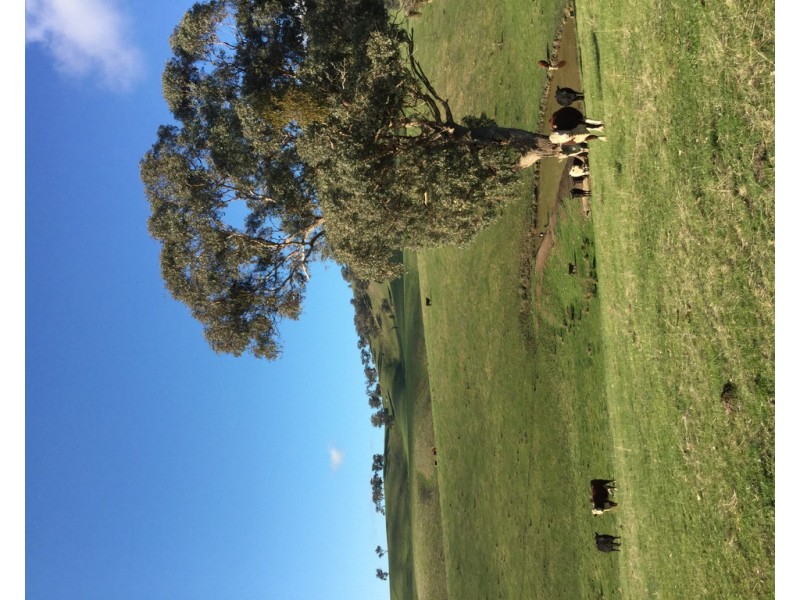 406 CHEVIOT ROAD, Limestone VIC 3717