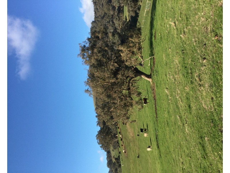 406 CHEVIOT ROAD, Limestone VIC 3717