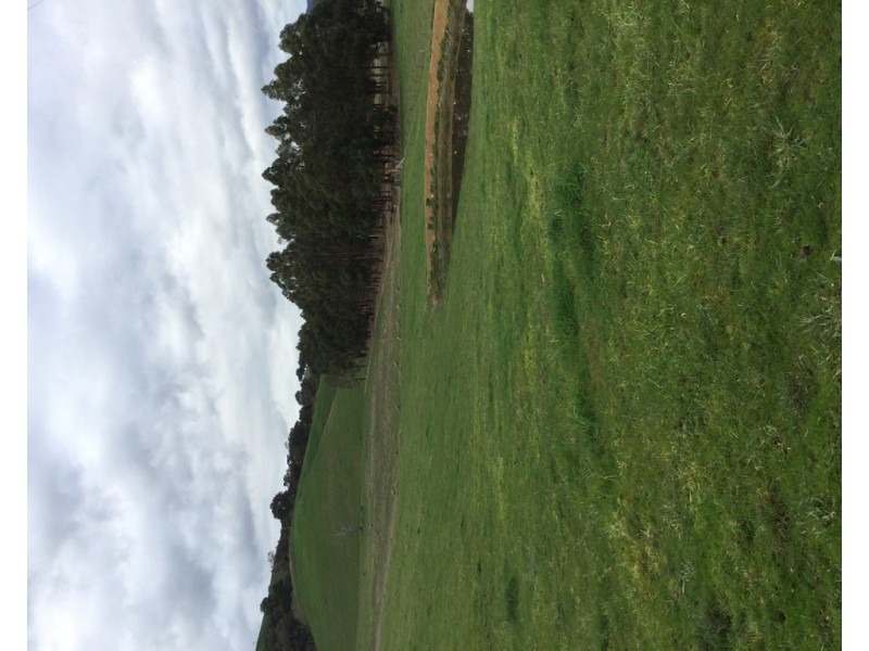 305 MURRINDINDI ROAD, Murrindindi VIC 3717