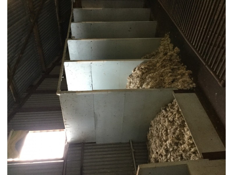 305 MURRINDINDI ROAD, Murrindindi VIC 3717