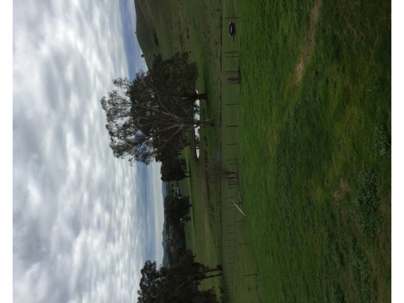 305 MURRINDINDI ROAD, Murrindindi VIC 3717