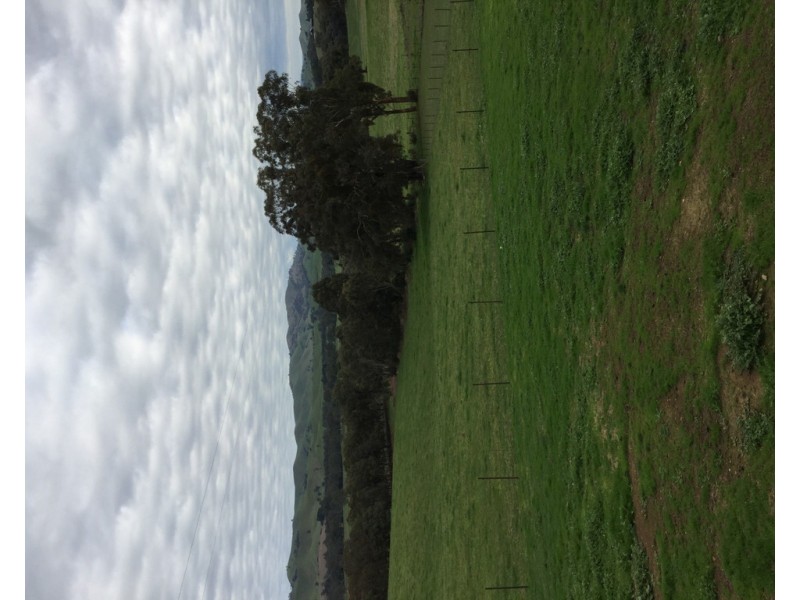 305 MURRINDINDI ROAD, Murrindindi VIC 3717