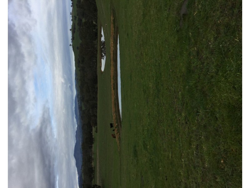 305 MURRINDINDI ROAD, Murrindindi VIC 3717