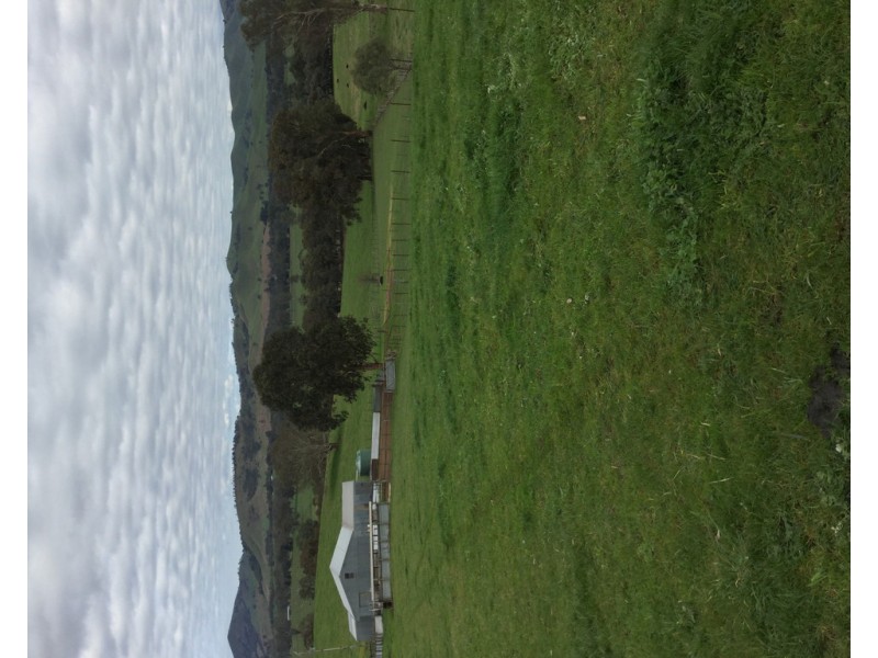 305 MURRINDINDI ROAD, Murrindindi VIC 3717