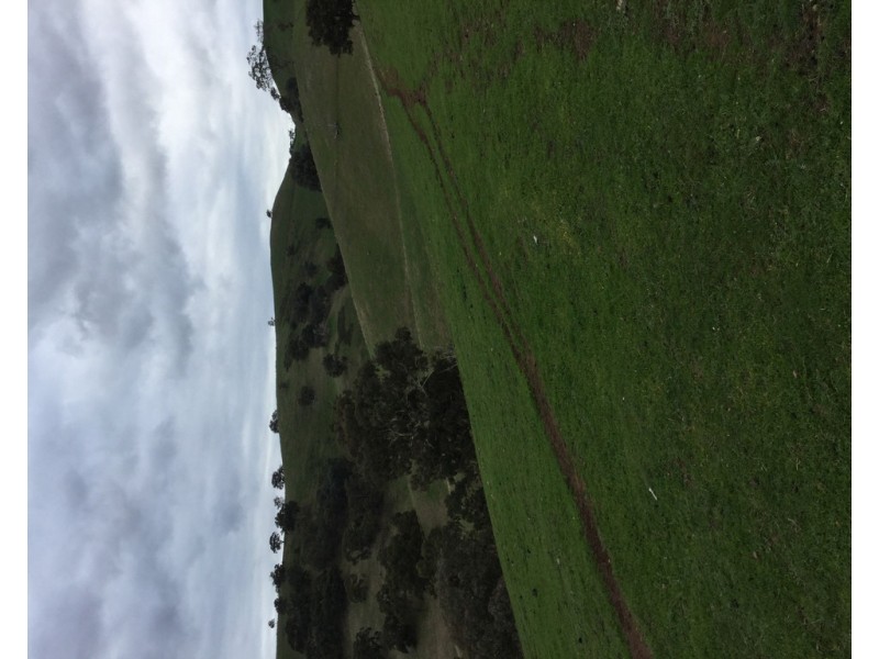 305 MURRINDINDI ROAD, Murrindindi VIC 3717