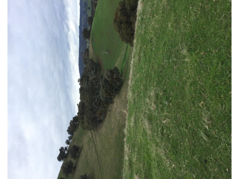 305 MURRINDINDI ROAD, Murrindindi VIC 3717