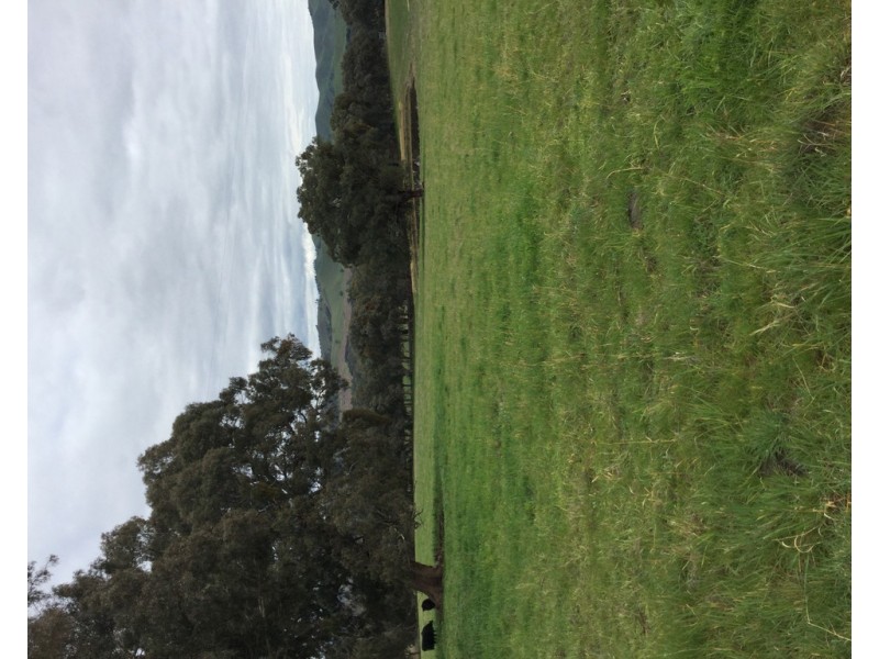 305 MURRINDINDI ROAD, Murrindindi VIC 3717