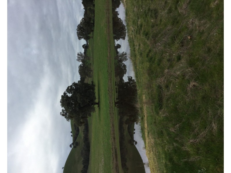 305 MURRINDINDI ROAD, Murrindindi VIC 3717