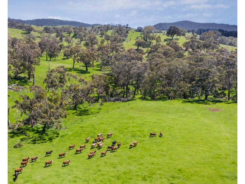 465 McHargs Road, Willowmavin VIC 3764