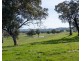 2222 Goulburn Valley Hwy, Alexandra VIC 3714